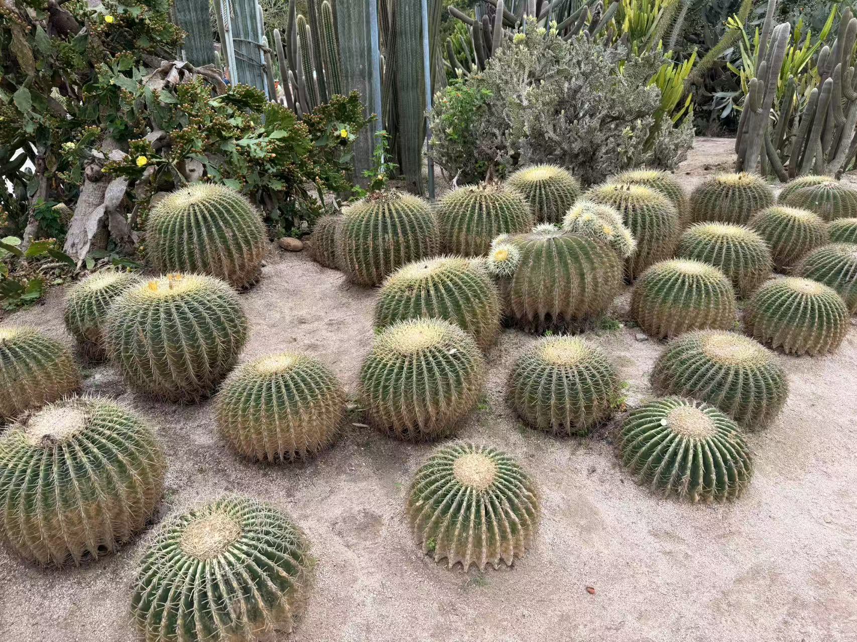 微信图片 _202504291121361
