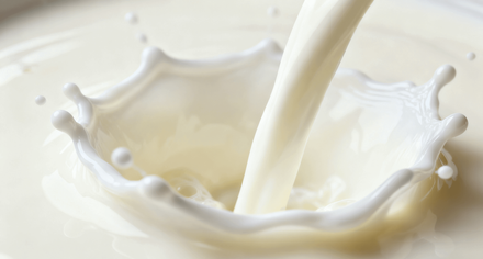 Milchprodukte und Getränke